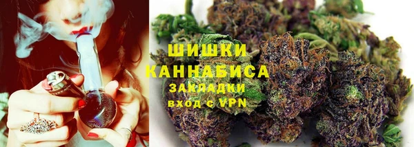 spice Михайлов