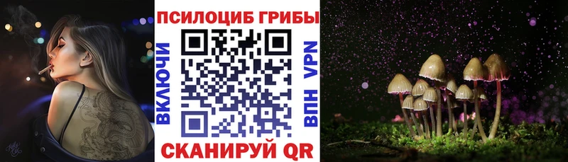 магазин  наркотиков  Находка  omg зеркало  Псилоцибиновые грибы ЛСД 