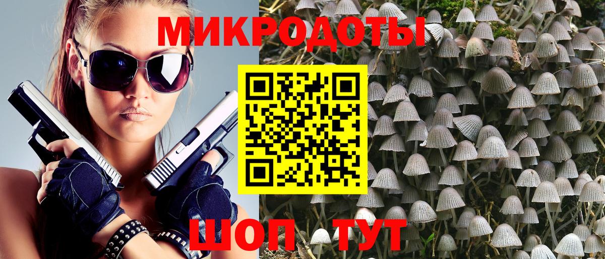 Псилоцибиновые грибы Psilocybe Находка