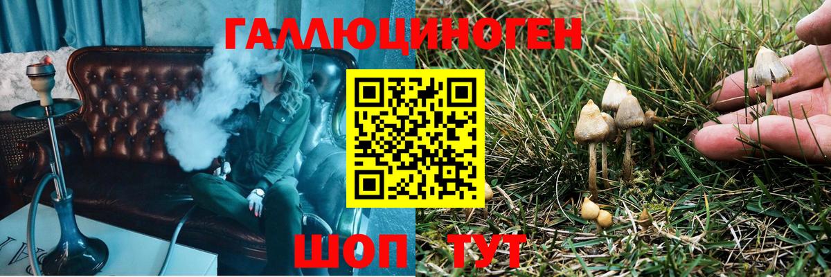 Находка  хочу   Вход с VPN  Галлюциногенные грибы Cubensis 
