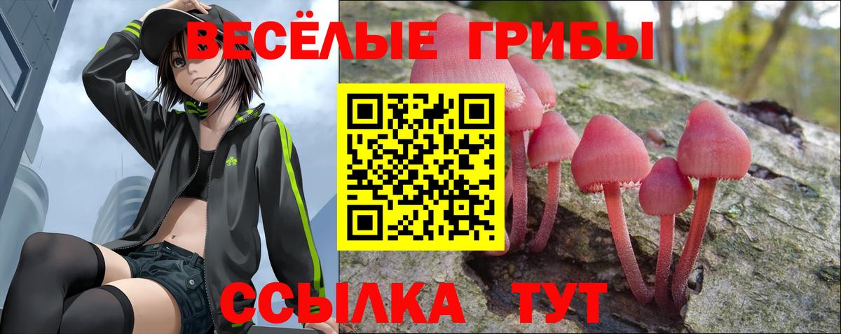 ГАШ  МЕФ  APVP СОЛЬ кристаллы  МЕТАМФЕТАМИН  Меф МЯУ МЯУ   Находка  Вход с VPN  Лсд 25  Каннабис  МДМА 